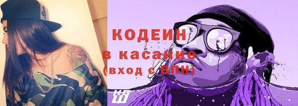твердый Сковородино