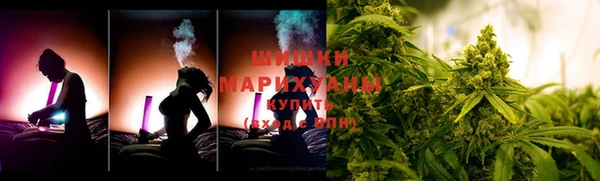 соль ск Новозыбков