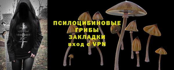 соль ск Новозыбков