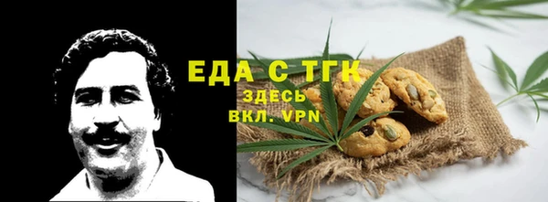 соль ск Новозыбков