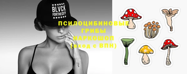 соль ск Новозыбков
