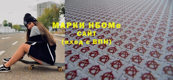 соль ск Новозыбков