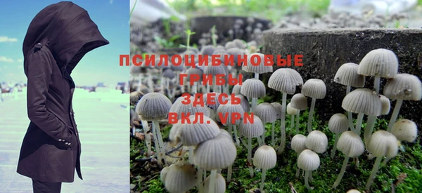 mix Новодвинск