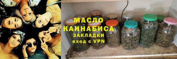 соль ск Новозыбков