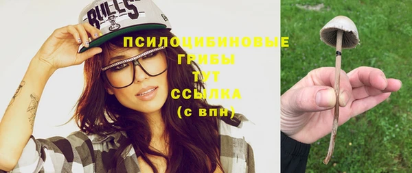 mix Новодвинск